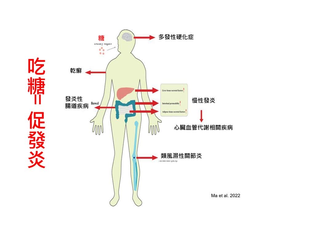 吃糖=促進發炎