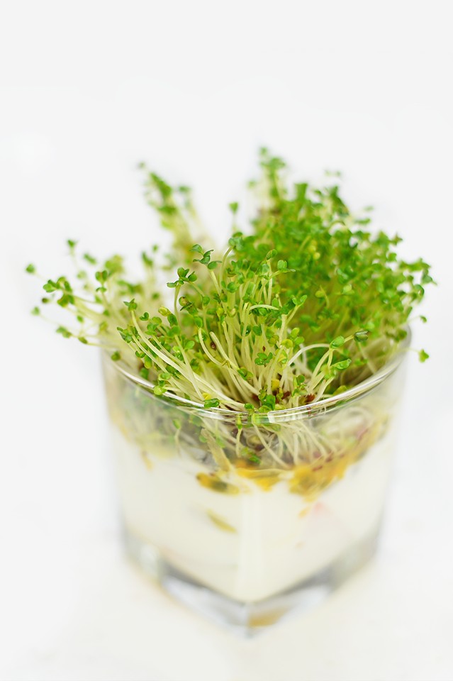 Passion Fruit Broccoli Sprouts Yogurt