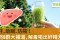 B群大補湯／顧肝、助眠、防癌
