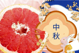 中秋吃柚子要注意了！營養師：要避免藥物的交互作用 （希望之聲合成）