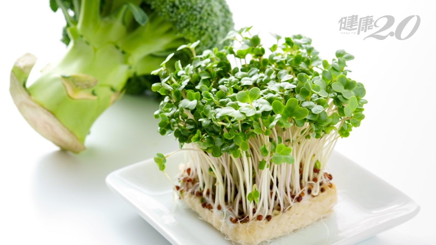 Broccoli,And,Broccoli,Sprout,On,White,Background.