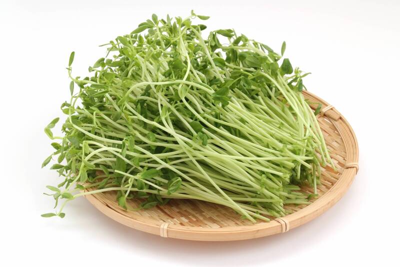 陳冠蓉表示，芽苗的蘿蔔硫素，含量高，具抗菌、抗氧化與抗癌的效果。（圖取自photoAC）