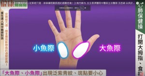 大小魚際