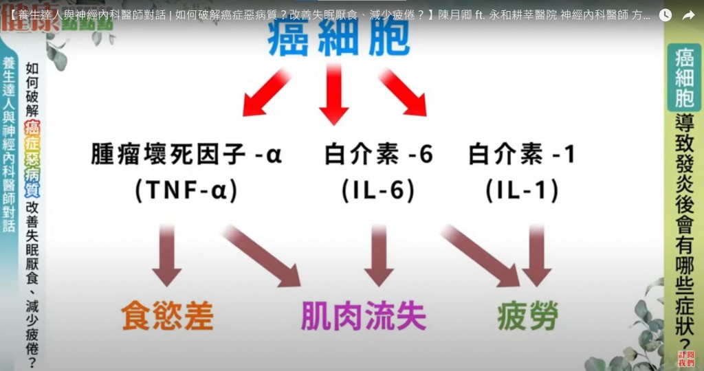 癌細胞的特性與影響
