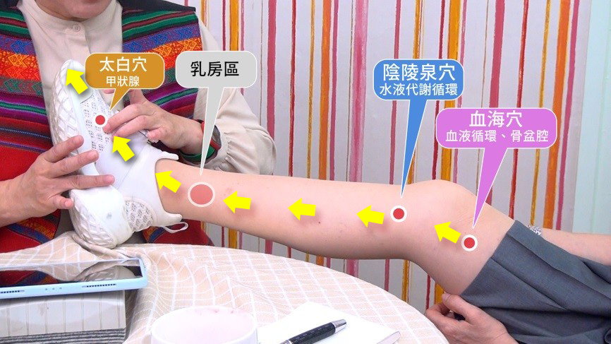 脾經按摩圖